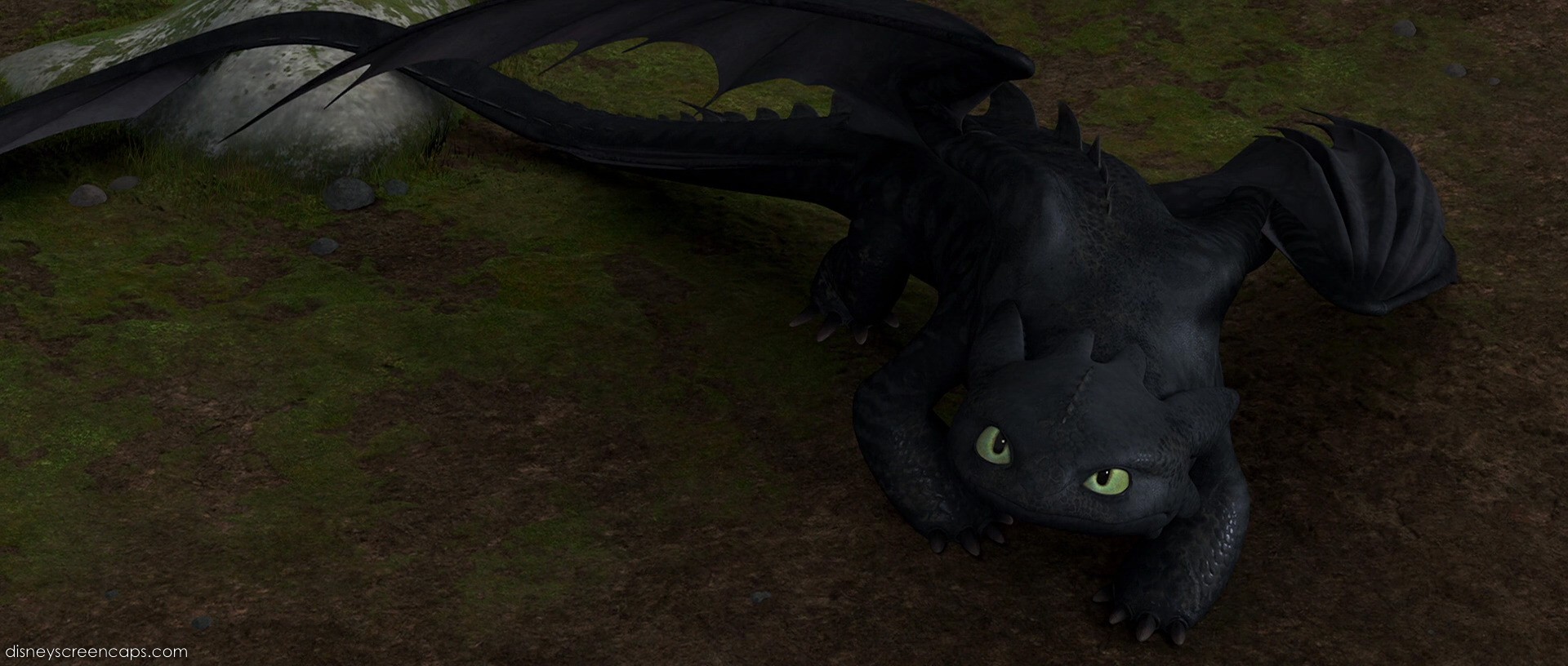 How To Train Your Dragon Toothless Cute Art Wallpaper