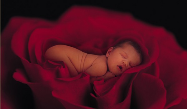 Anne Geddes Graphics And Ments