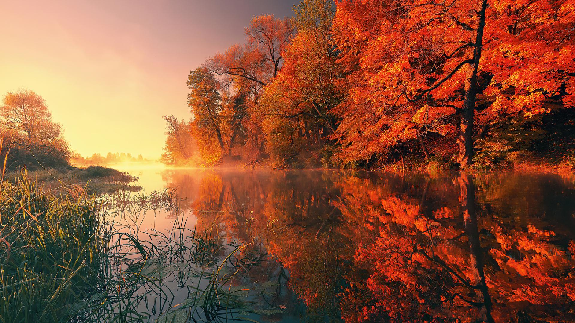 Autumn Trees Fall Reflection HD Wallpaper Gnome Look Org