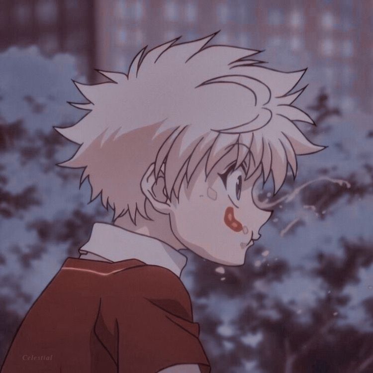 Hunter X Pfp Wallpaper
