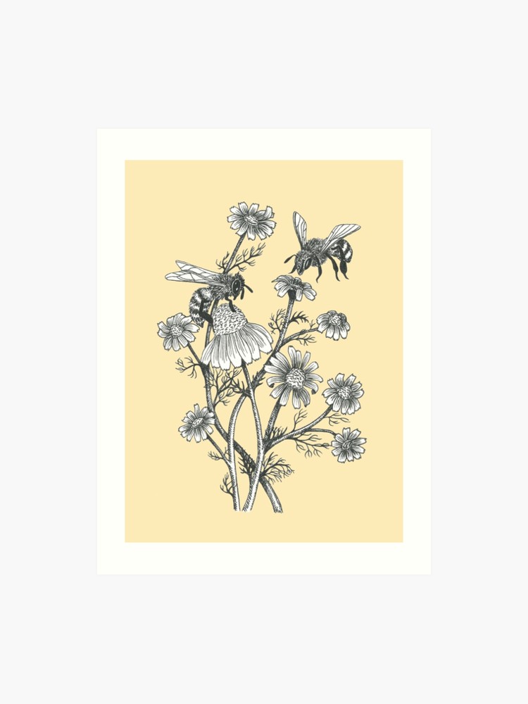 Bees And Chamomile On Honey Background Art Print By