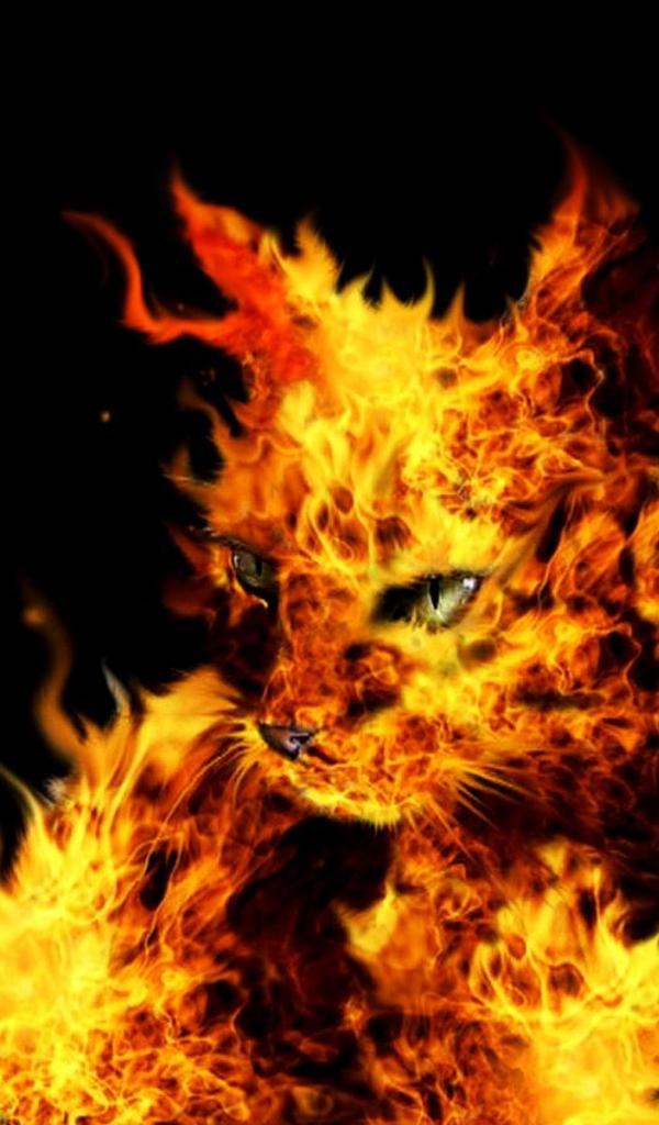 Free download How To Change Wallpaper For Kindle Fire Hd [2500x1667