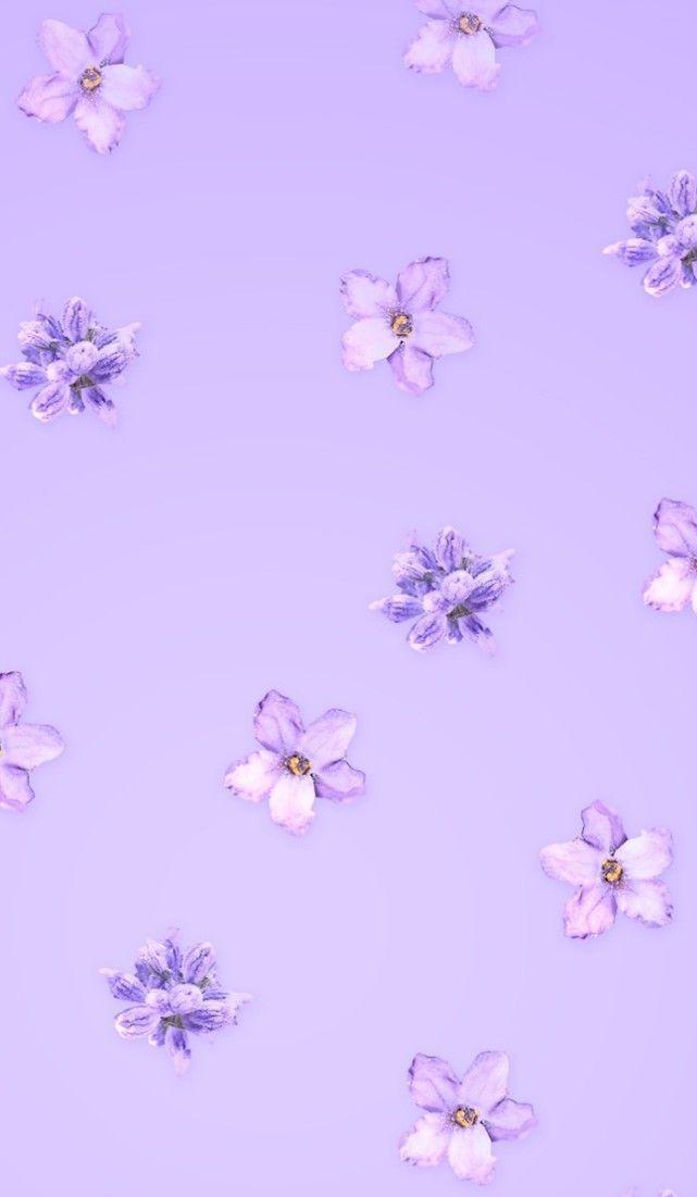 Purple Light Wallpaper Aesthetic Background
