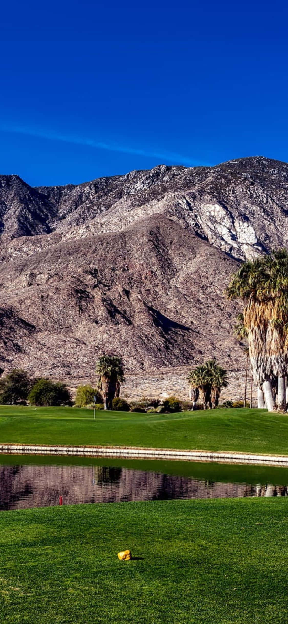 iPhone X Golf Course Background Wallpaper