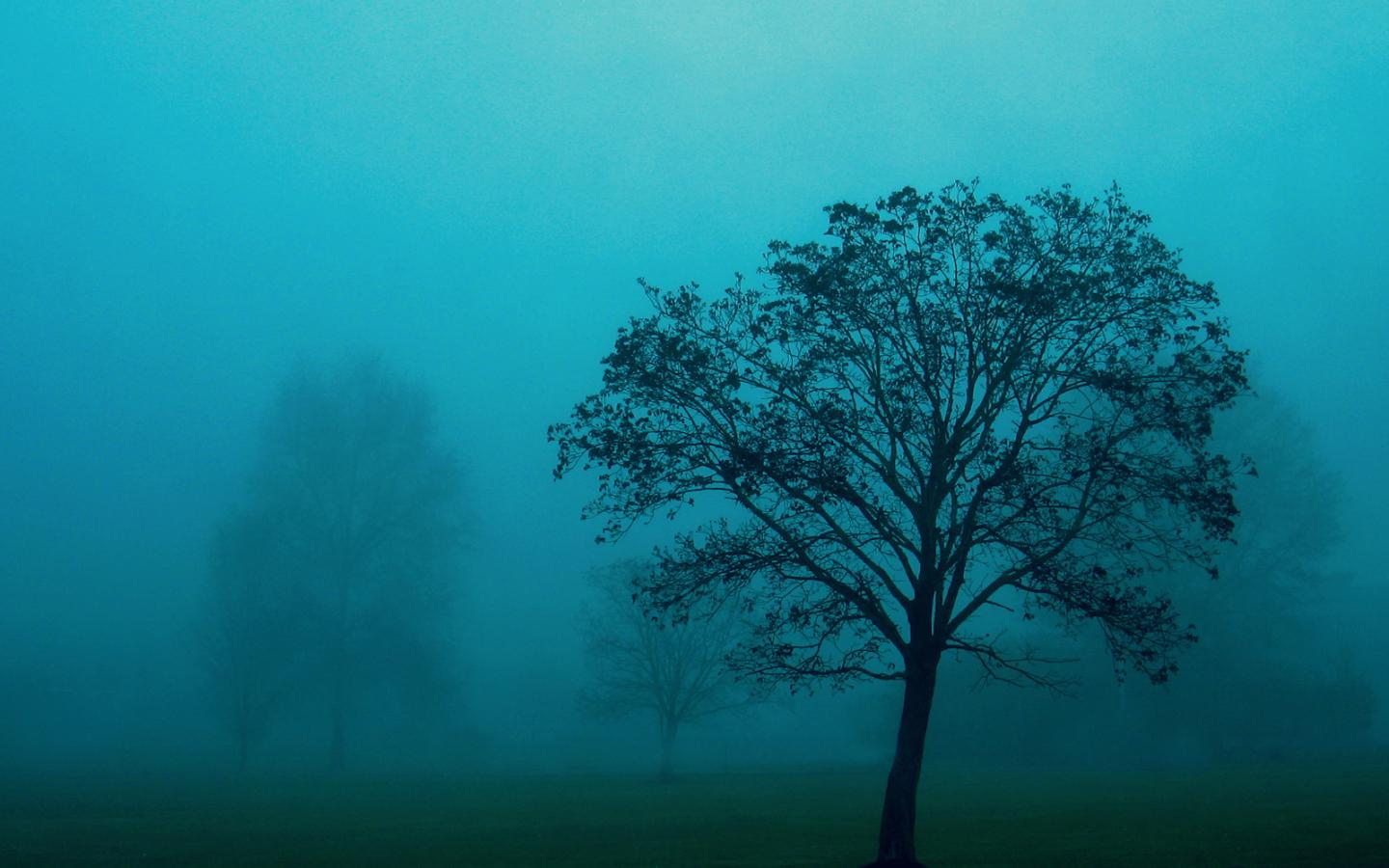 Blue Mist Wallpaper mist wide 1440x900
