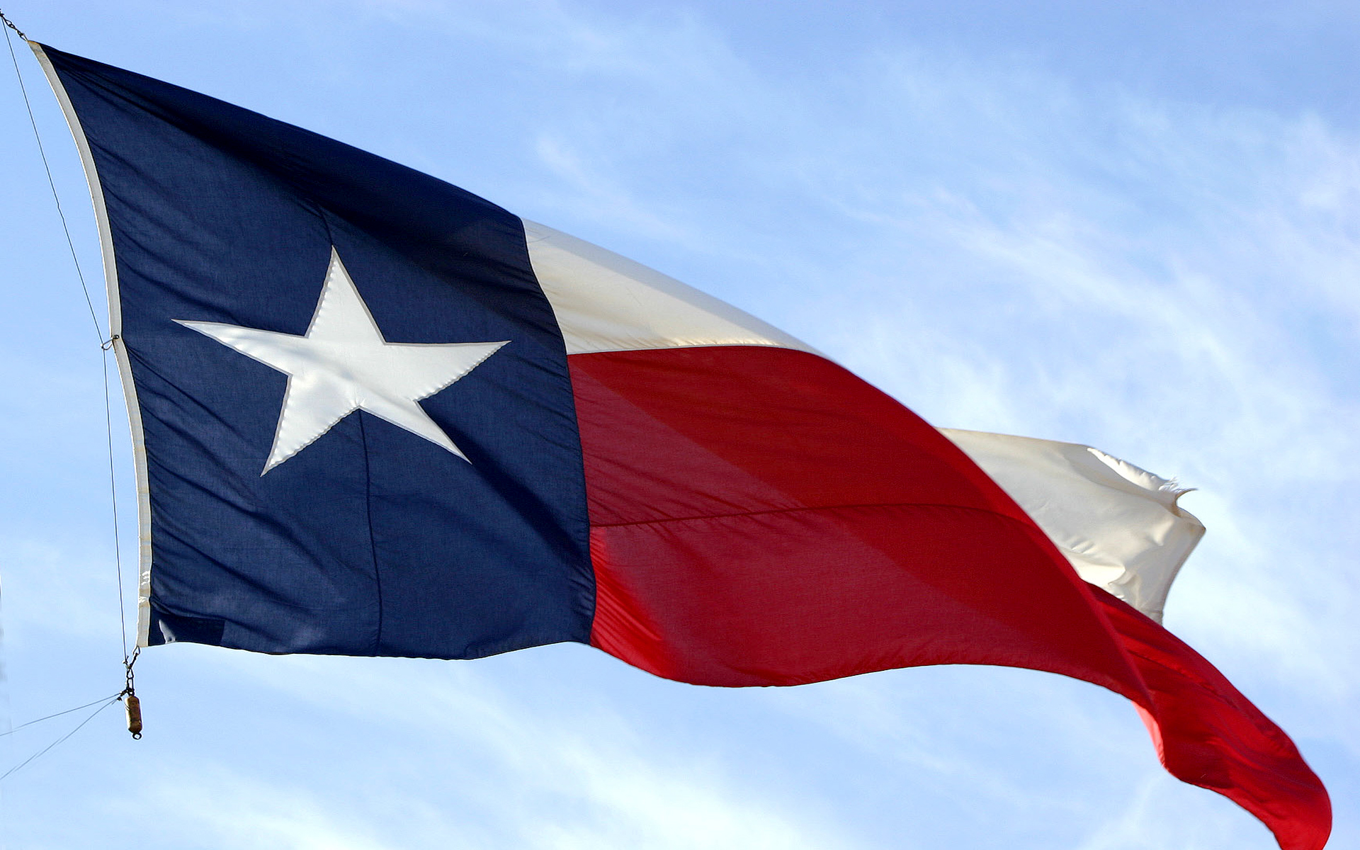 Flag Of Texas Wallpaper