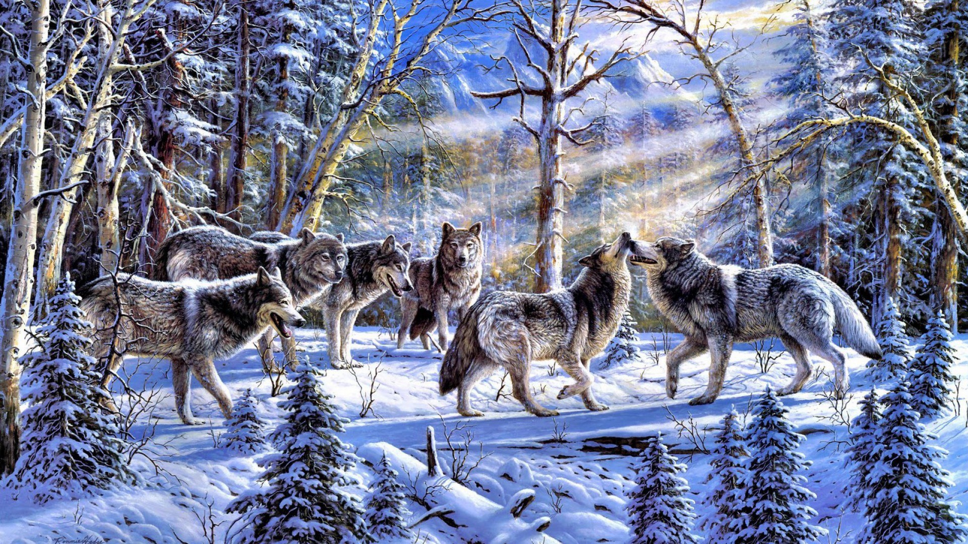 Pack Of Wolves In The Snow Wallpaper And Image