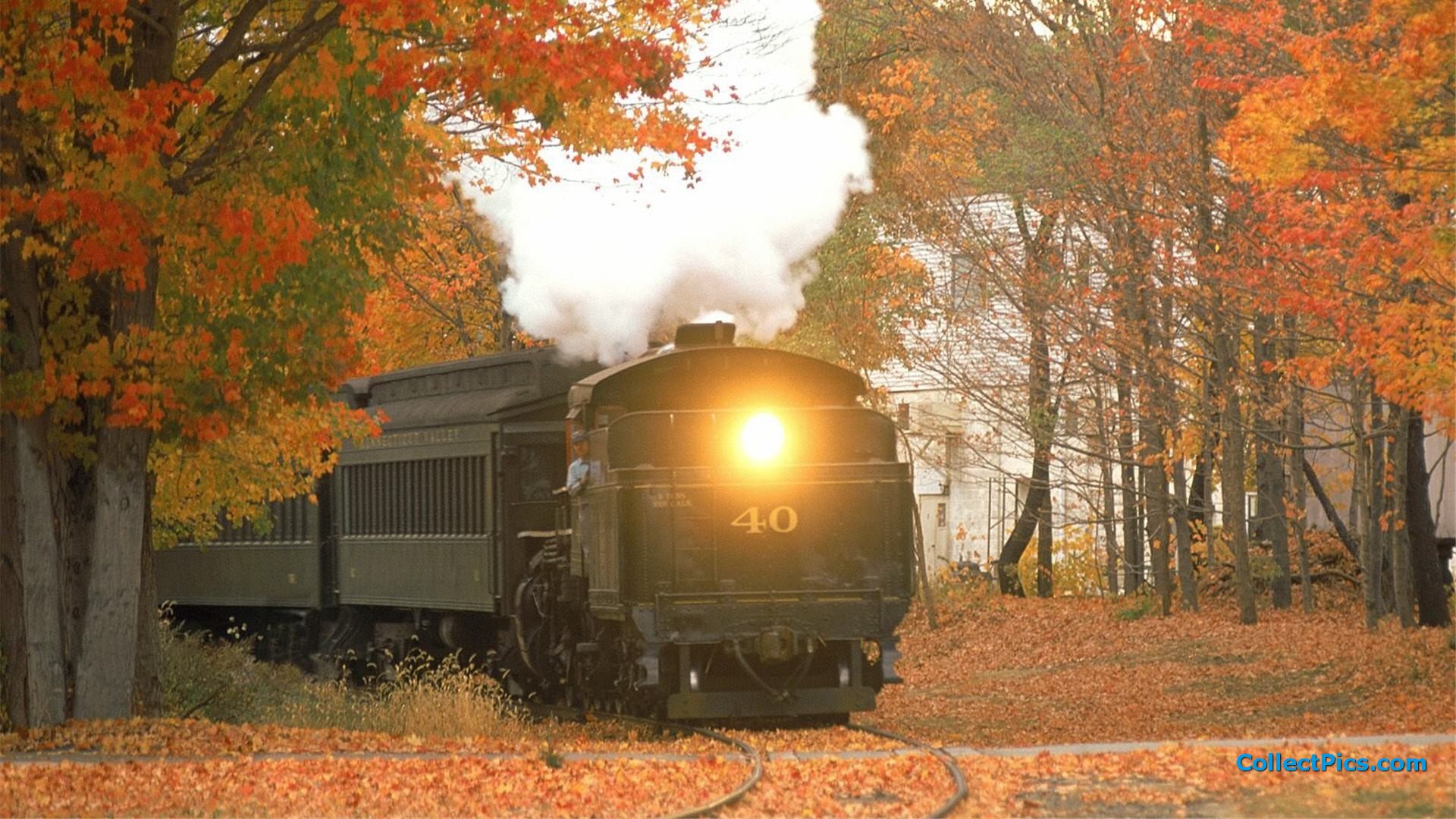 Train In Autumn Wallpaper HD 1920x1080 4867