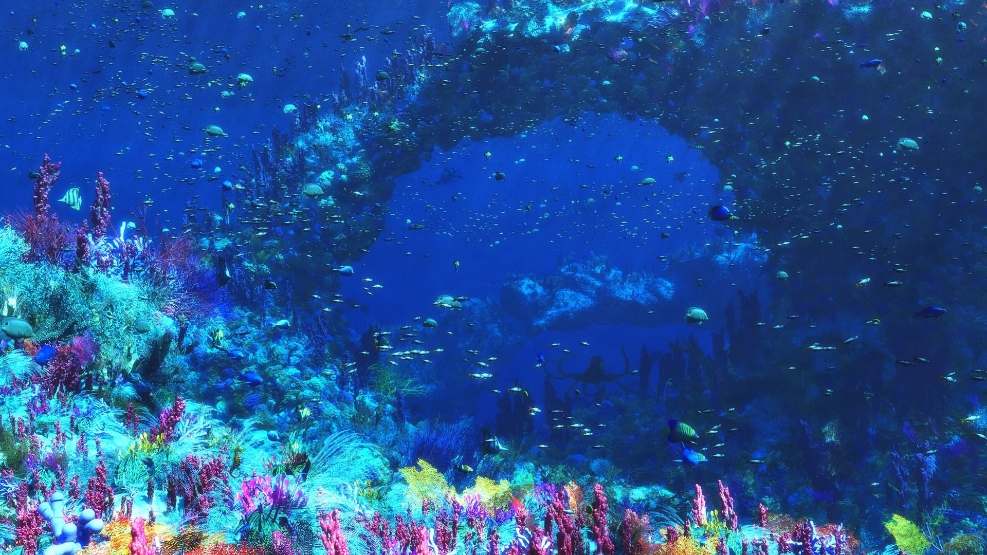 Ocean Underwater Wallpaper HD Wallpapercraft