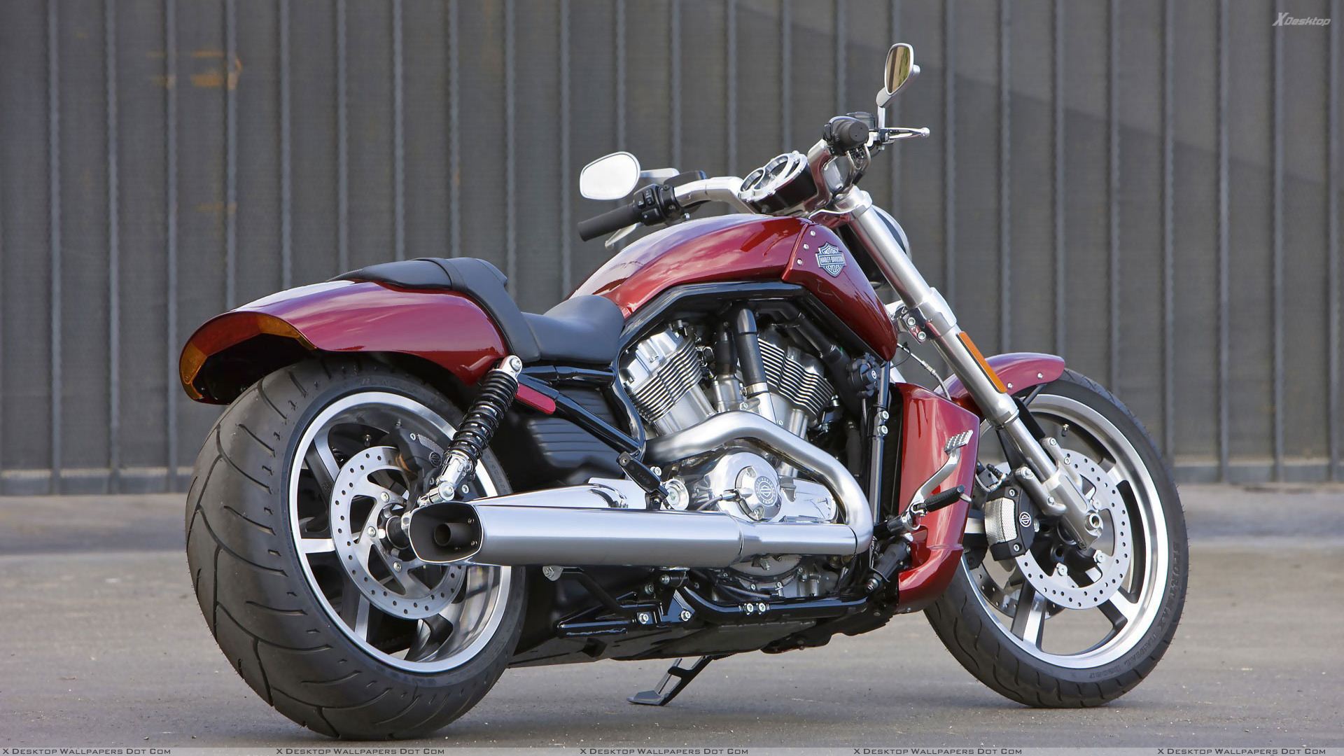 Harley Davidson Vrscf V Rod Muscle In Red Back Side
