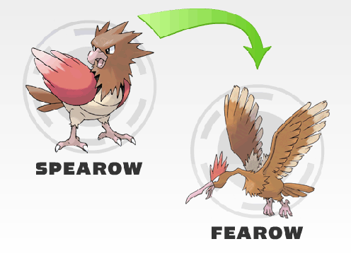 Pokemon Spearow Evolution Chart