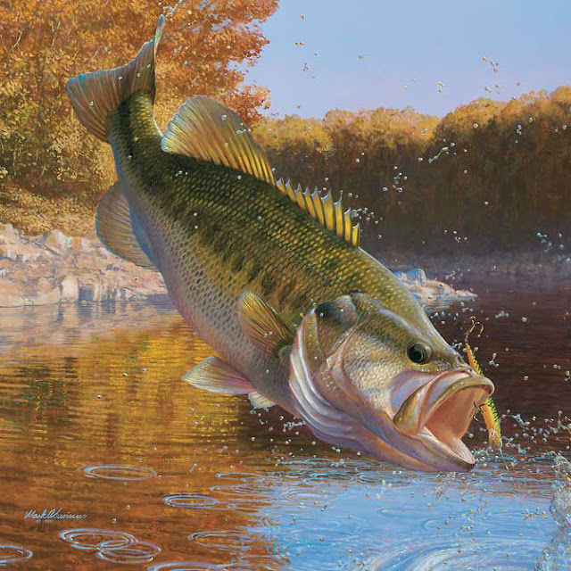 Here Is Bass Fishing For Puter Wallpaper And Image Gallery