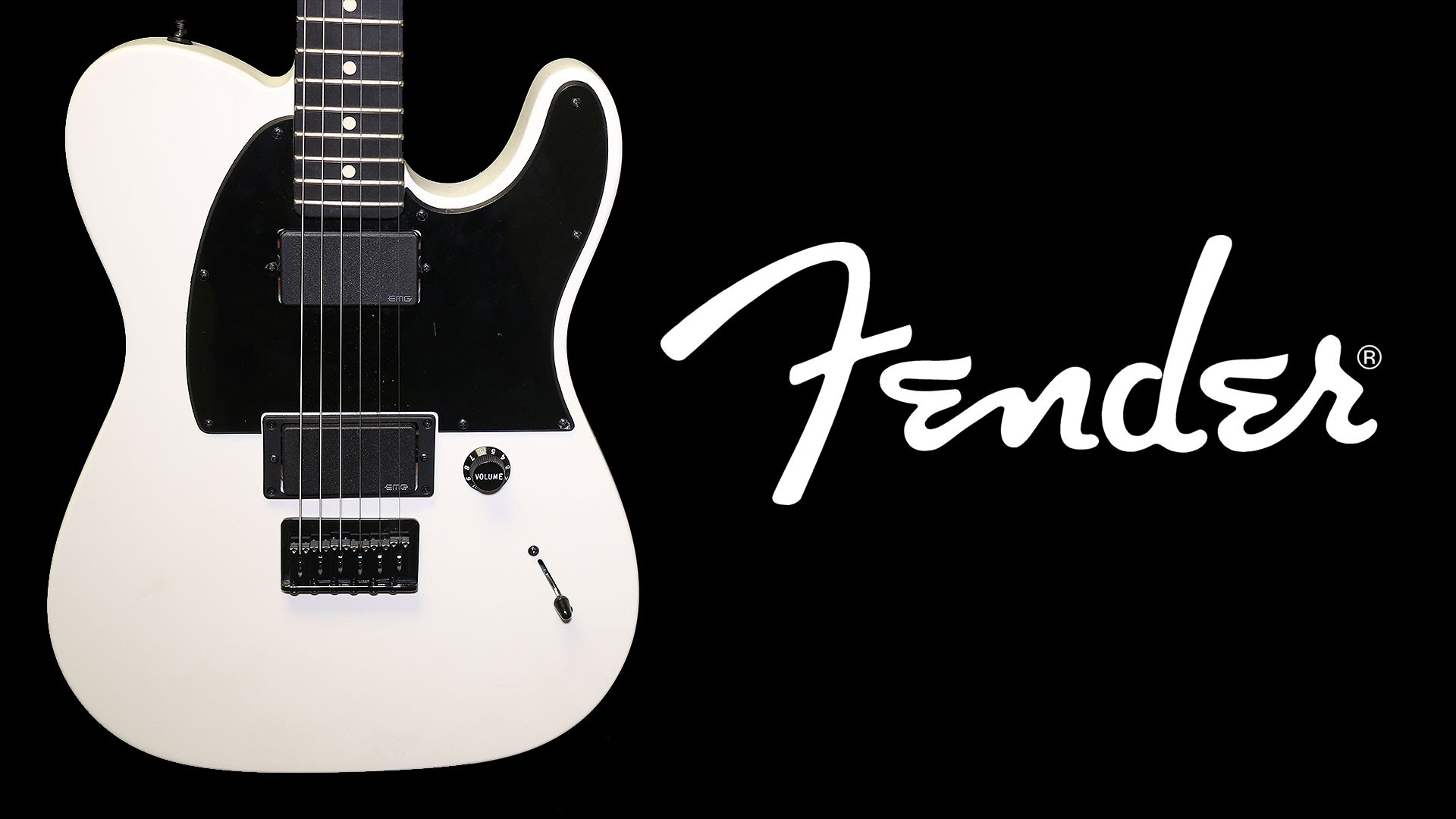 Fender Guitars Wallpaper HD Background Itl Cat