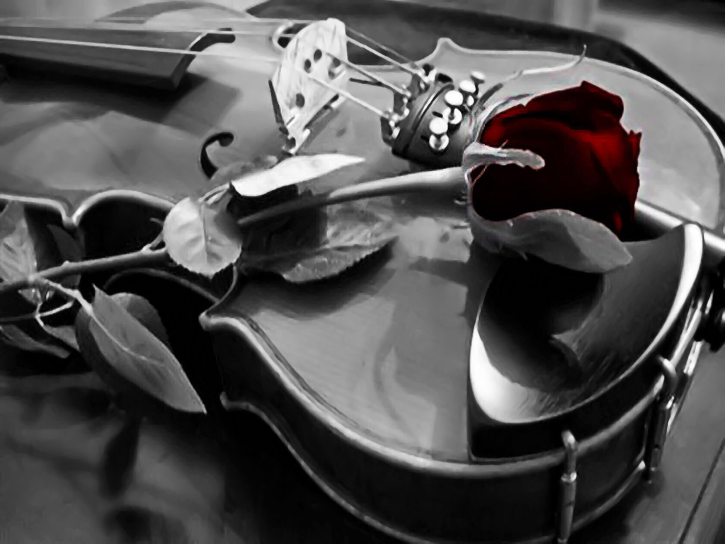 Black Violin Wallpaper Image Gallery