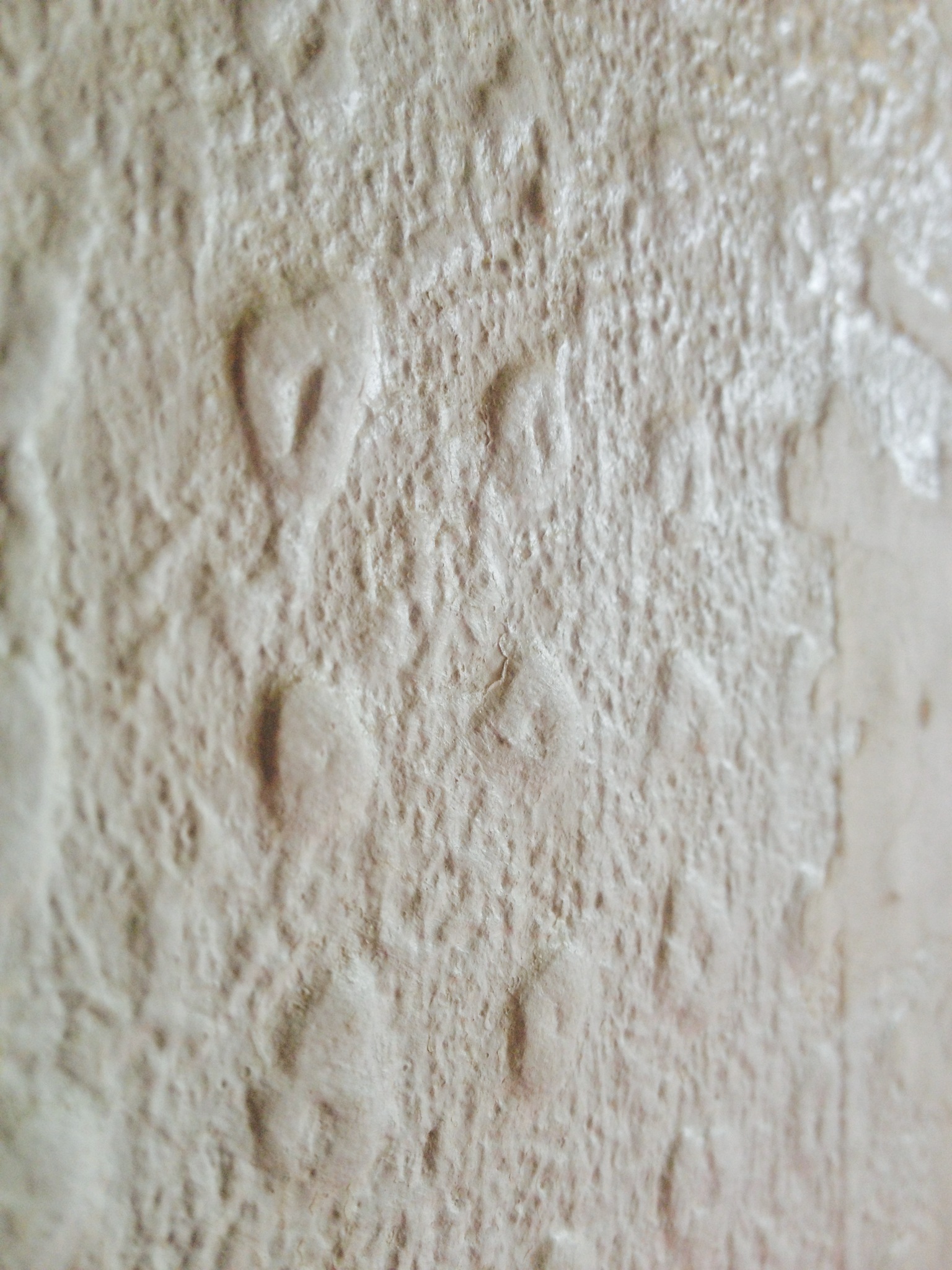 Decorating Help What Is This Stuff And Deal With It