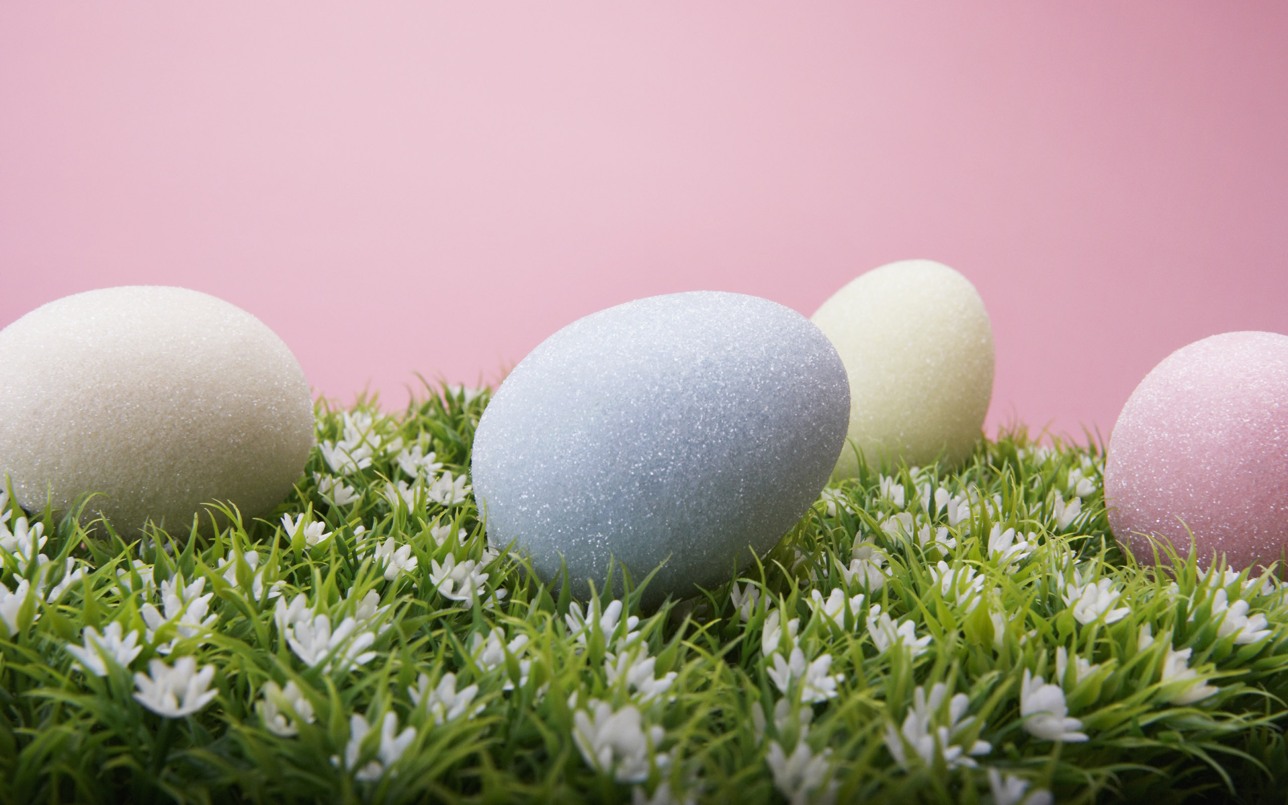 The Easter Wallpaper Category Of HD