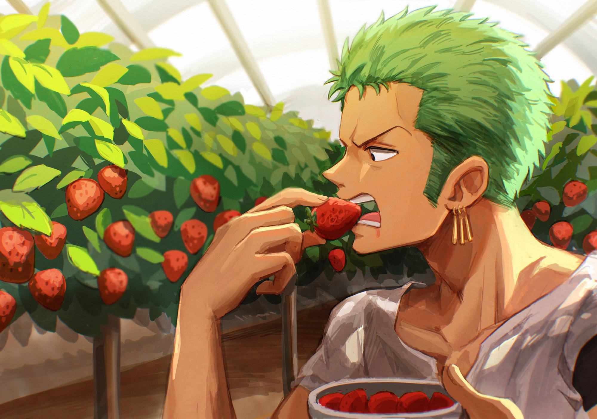 Roronoa Zoro Wallpaper