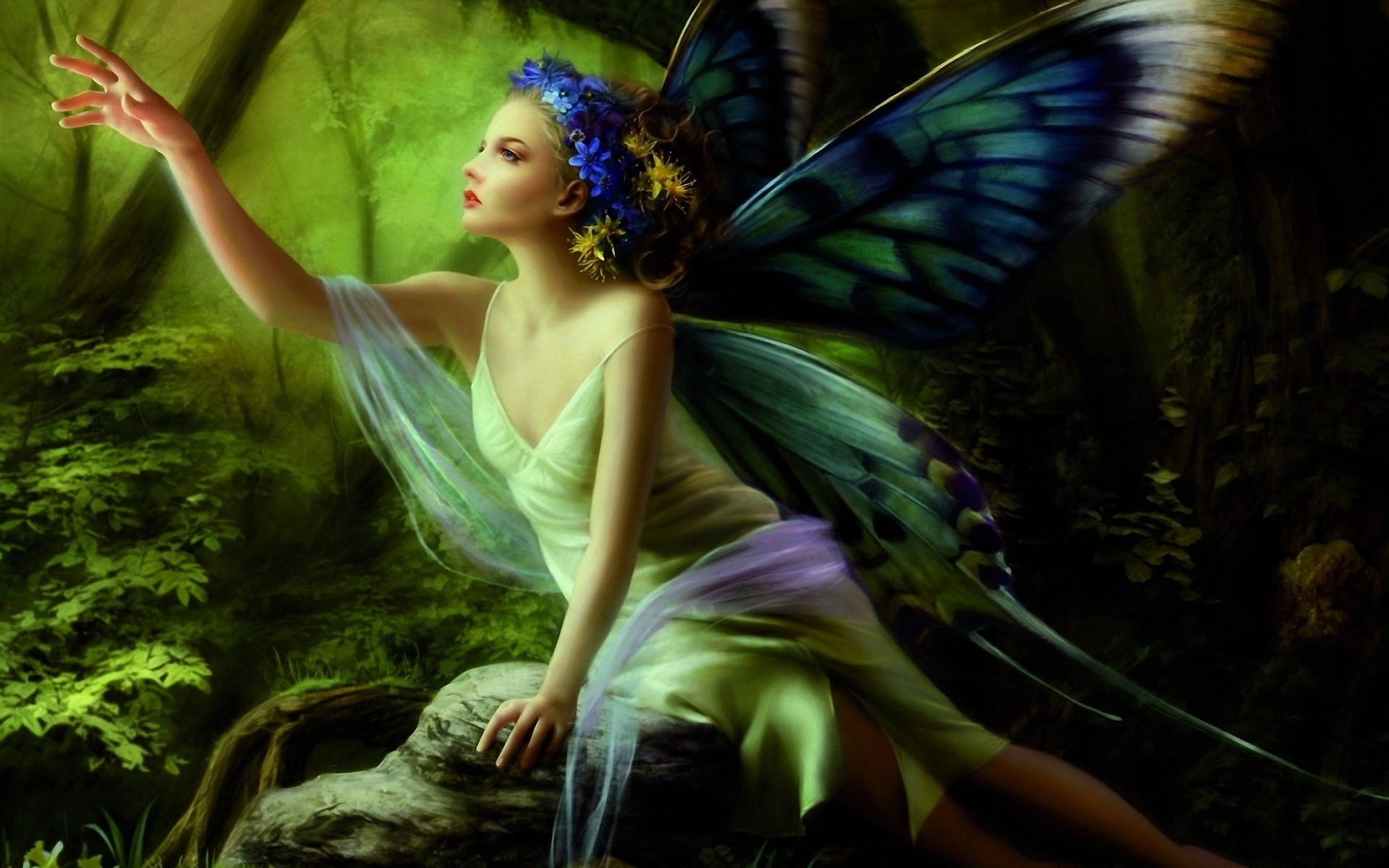 Butterfly Fairy 1920 x 1200 Download Close