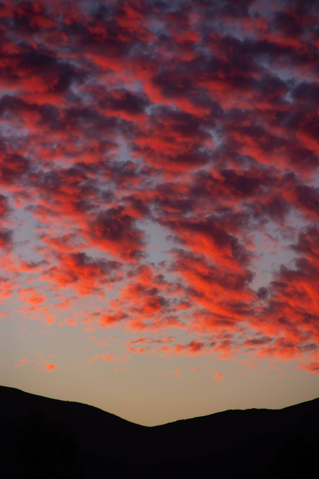 Top Cloud Aesthetic Wallpaper Full HD 4k To Use