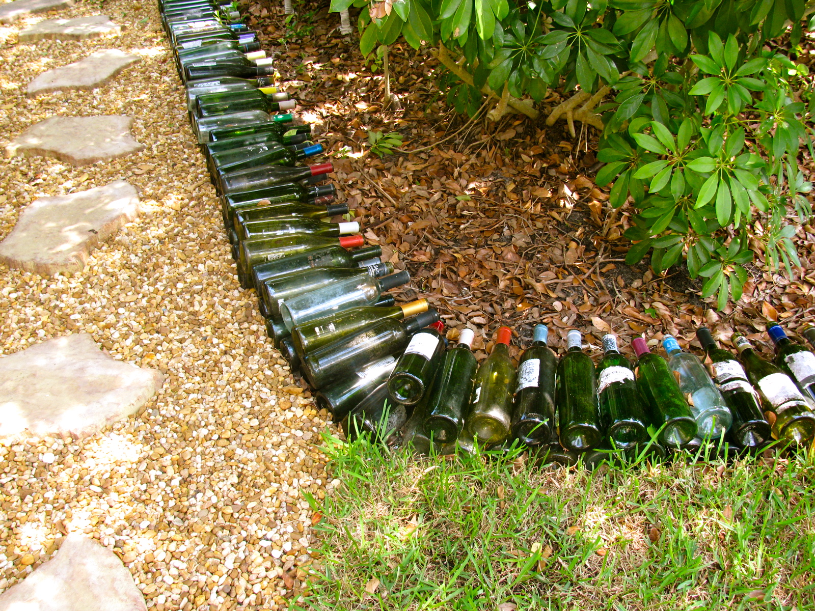 Wine Bottle Garden Image