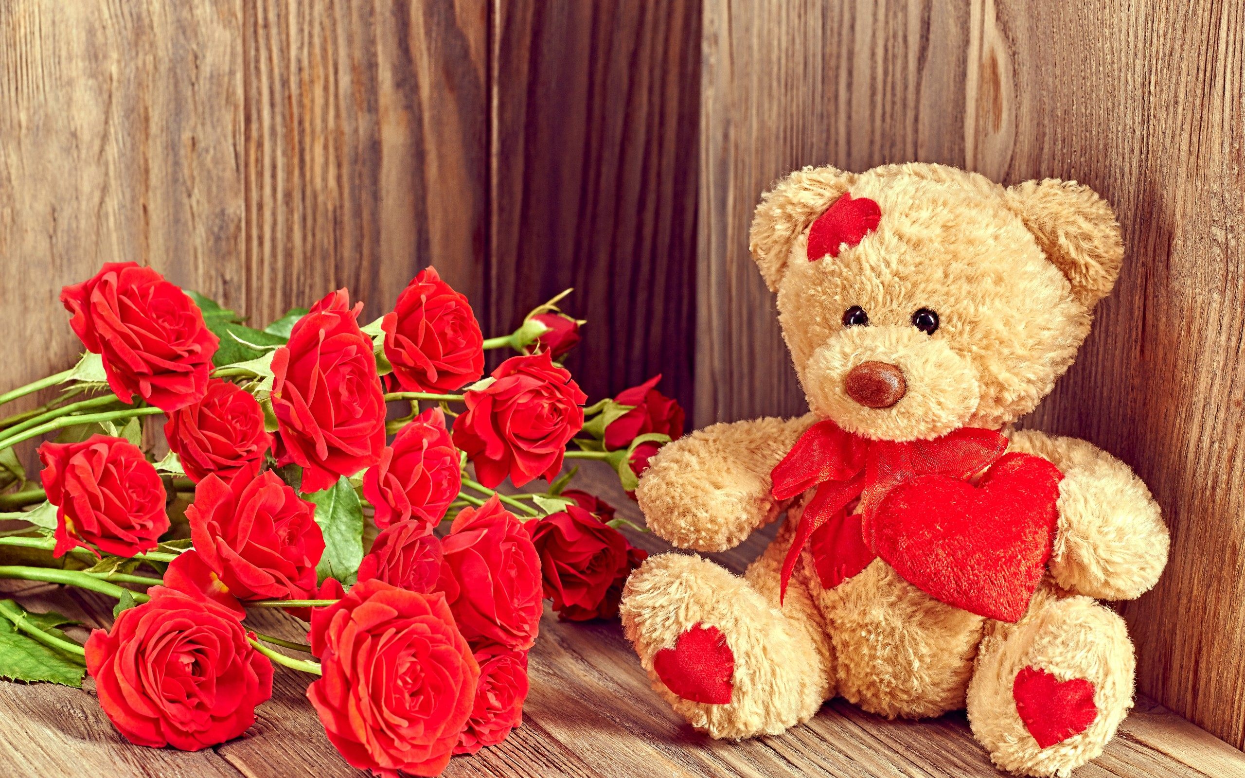 Love Teddy And Red Roses Wallpaper HD For Desktop Amp Mobile
