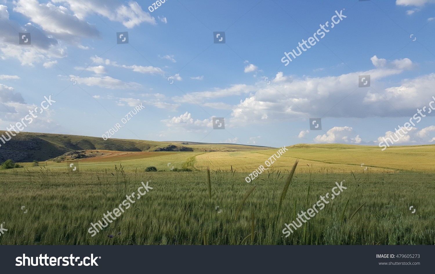 Pastoral Background Royalty Stock Image