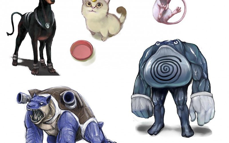 Pokemon Blastoise Mew Meowth Poliwrath Houndoom