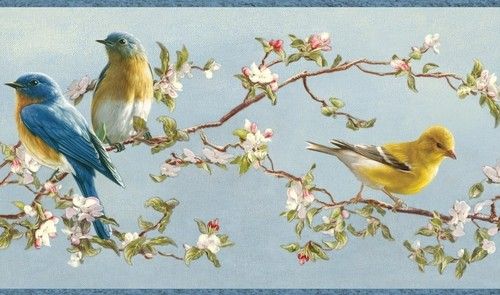 Wallpaper Border Hautman Brothers Songbird Blue Yellow Birds Pink Wh