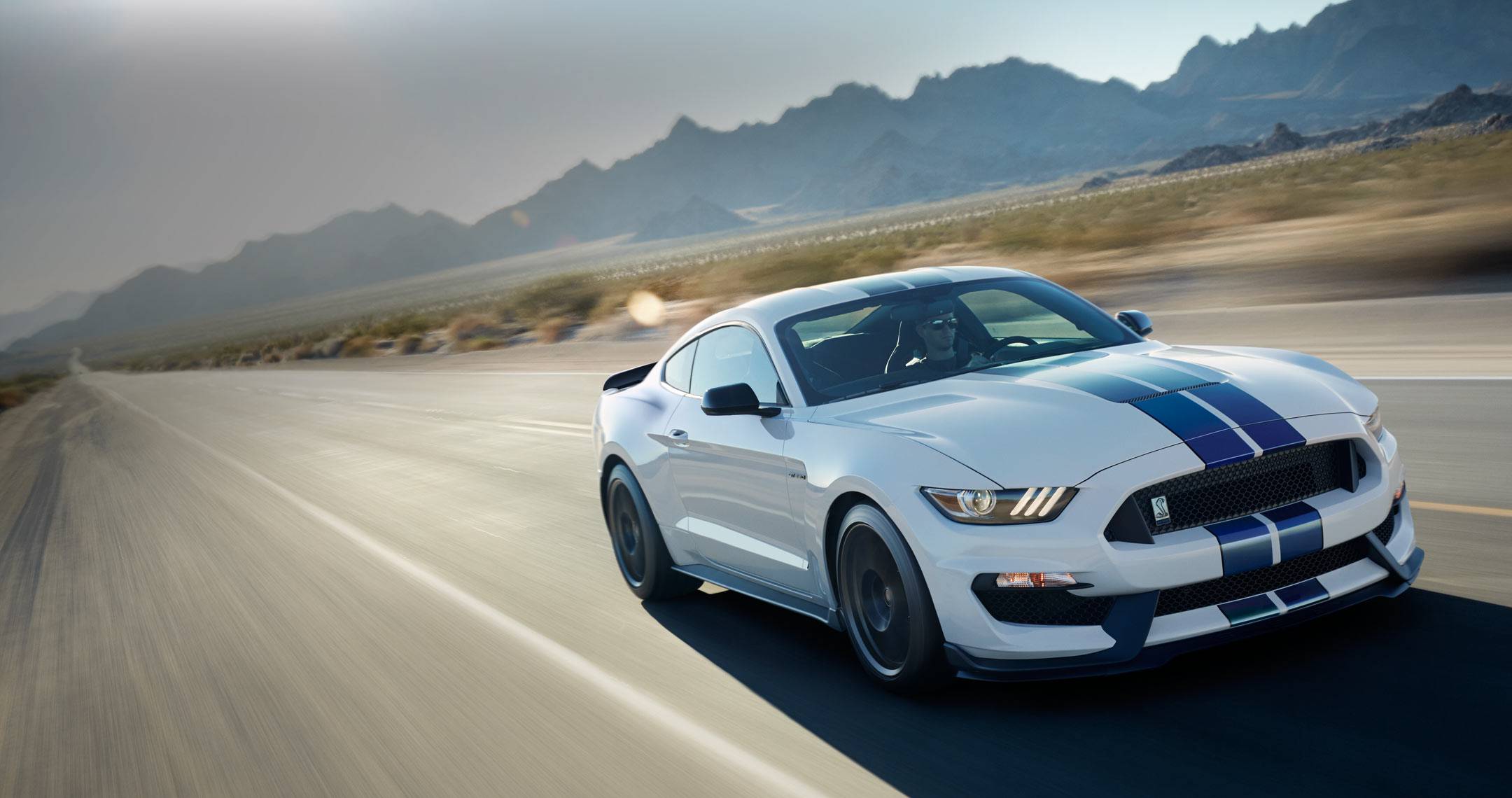 Ford Shelby Wallpaper Vehicles Hq Pictures 4k