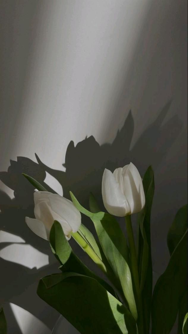 Pins By You Wallpaper