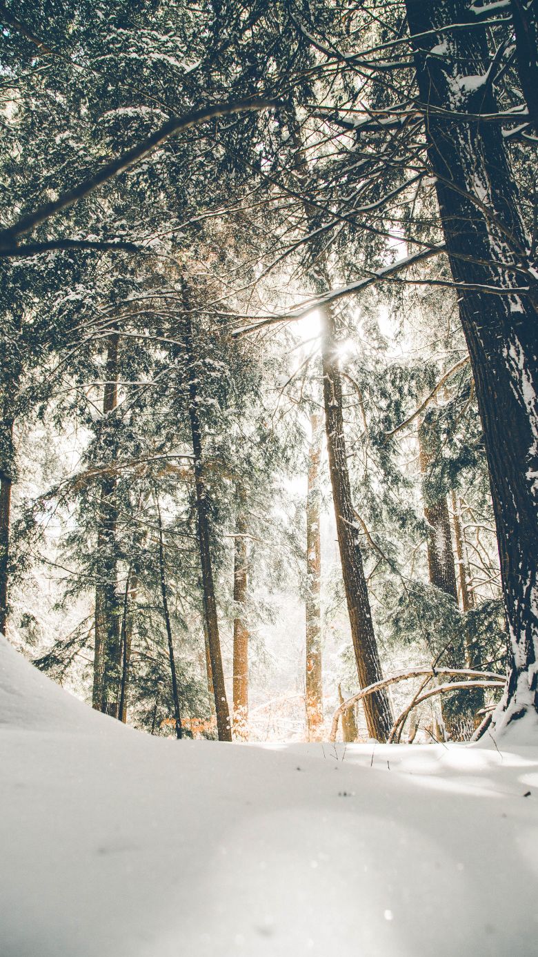 Snow iPhone Background Wallpaper