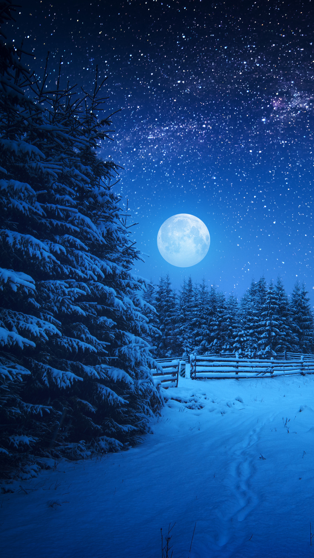 Full Moon Night In Winter Season Wallpaper Share