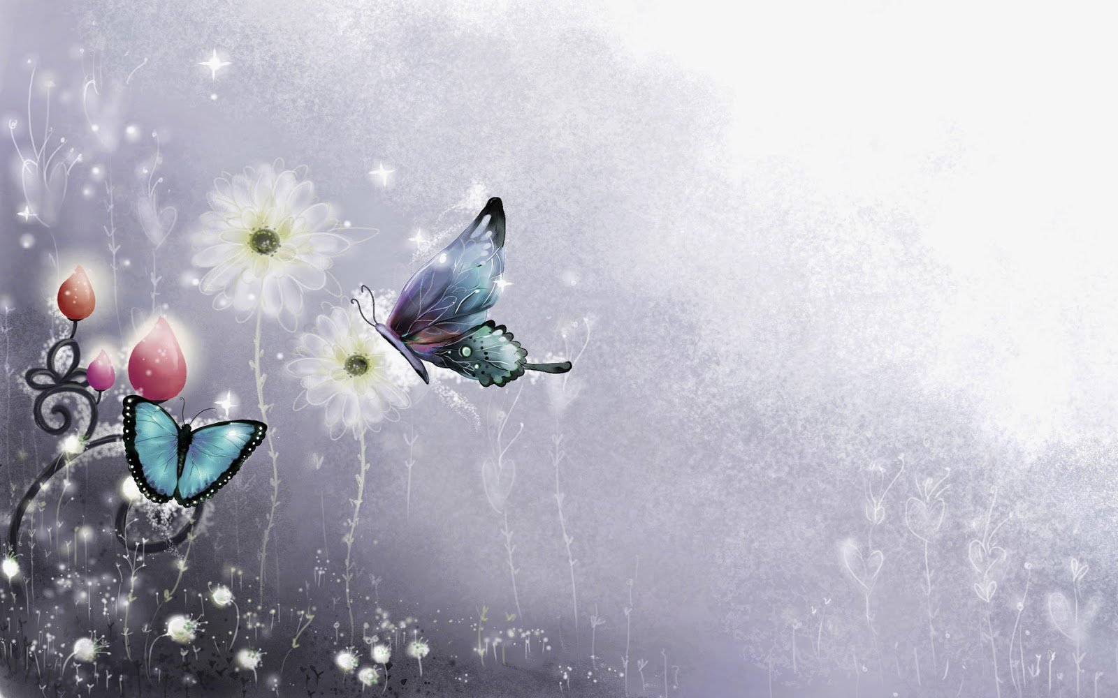 Colorful Butterfly HD Wallpapers Real Artistic
