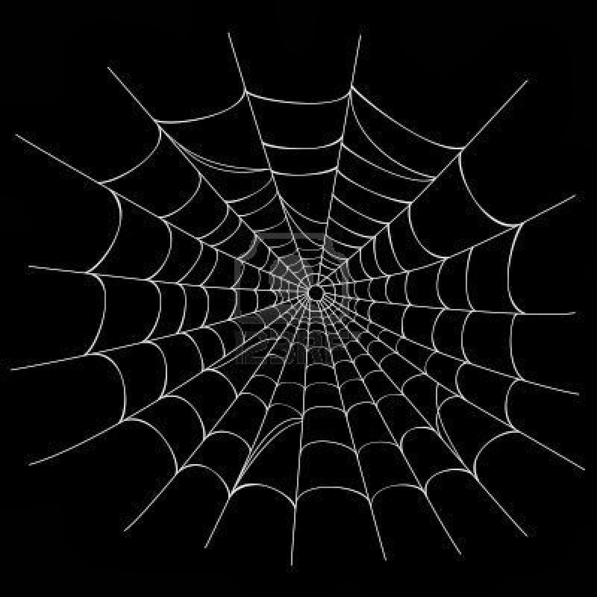 Spider Web Farm Williamstown Vermont
