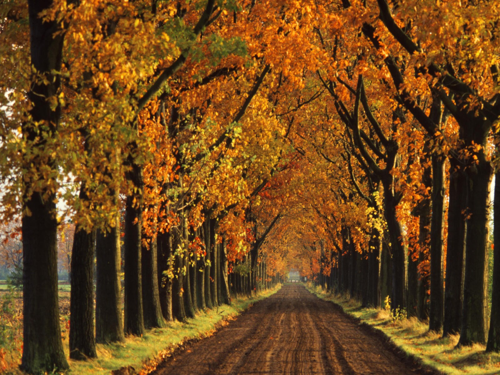 Fall Desktop Wallpaper First HD