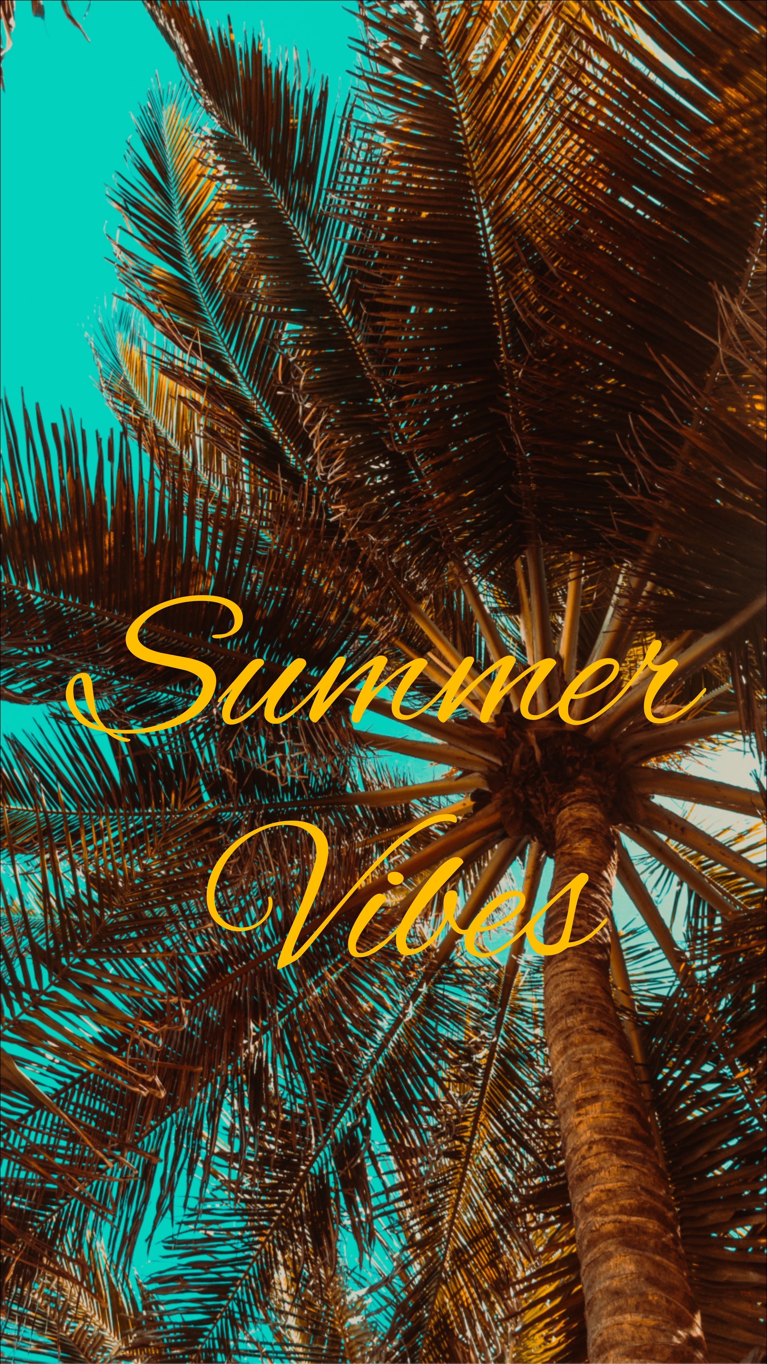 Summer Vibes Wallpaper Top Background