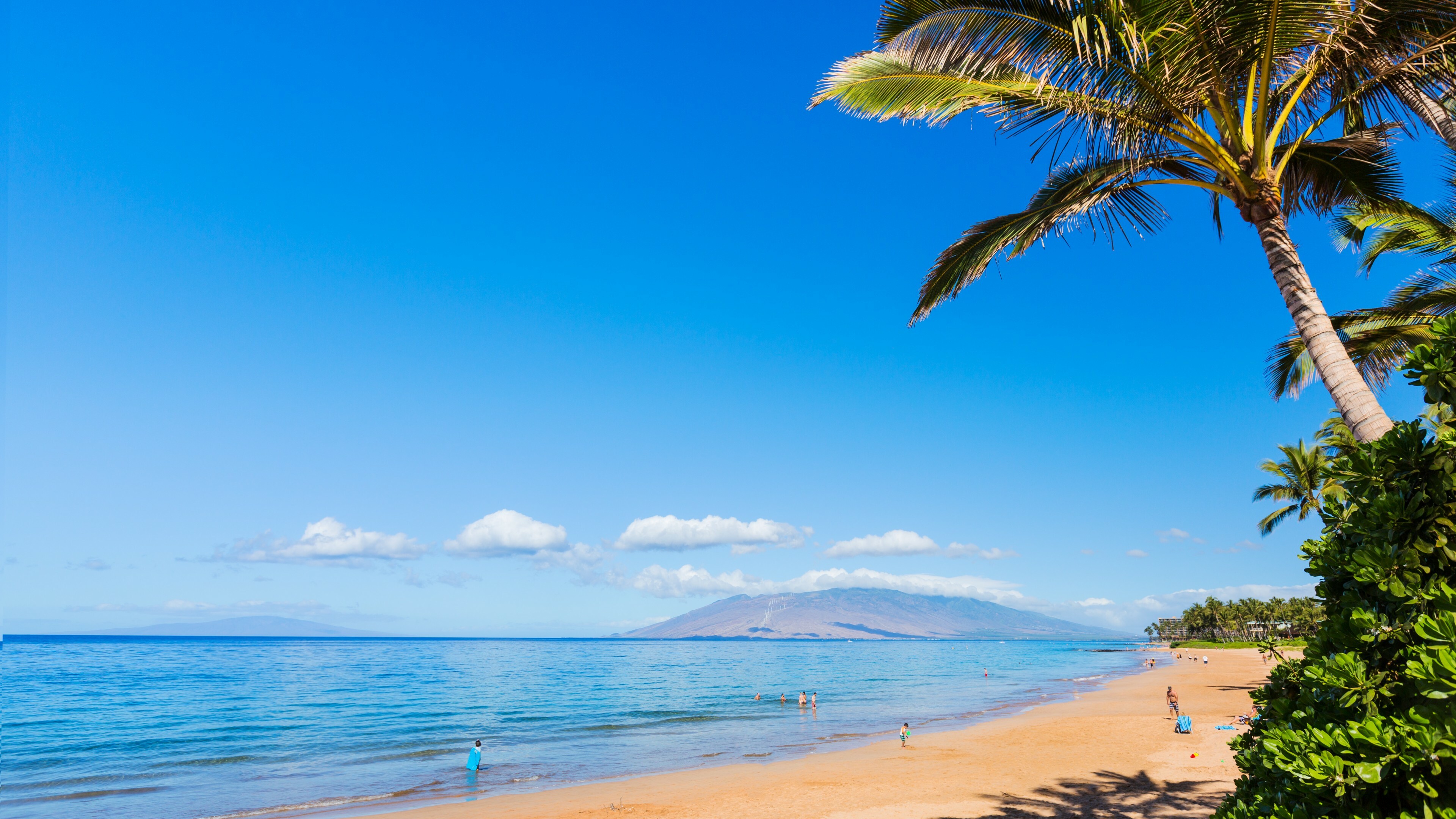 Desktop 4k Maui Hawaii Background Photo Wallpaper