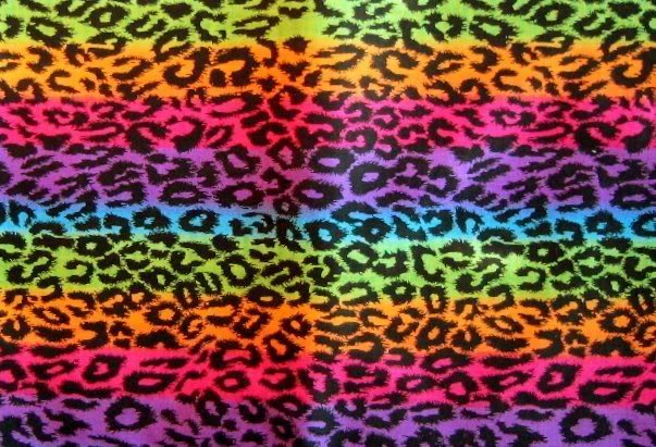 Rainbow Leopard Graphics Code Ments Pictures