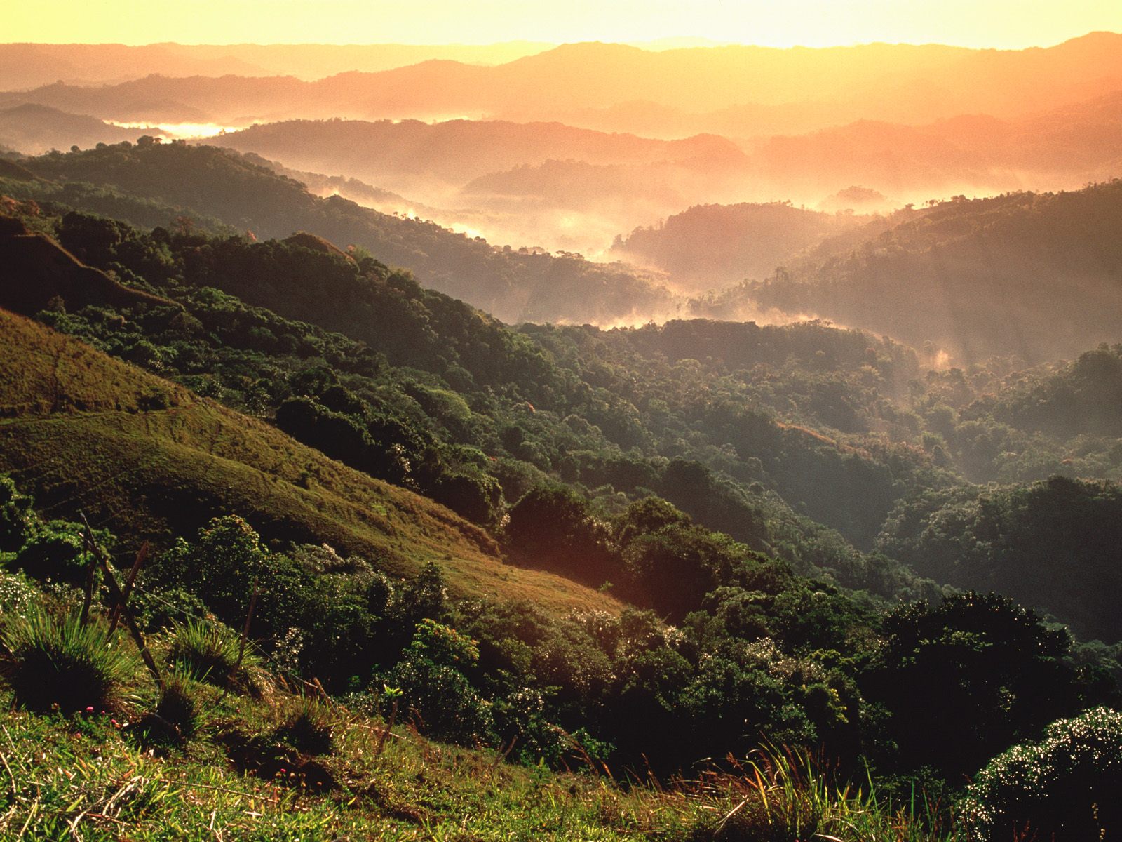 Puerto Rico A Journey To El Yunque Tropical Rainforest