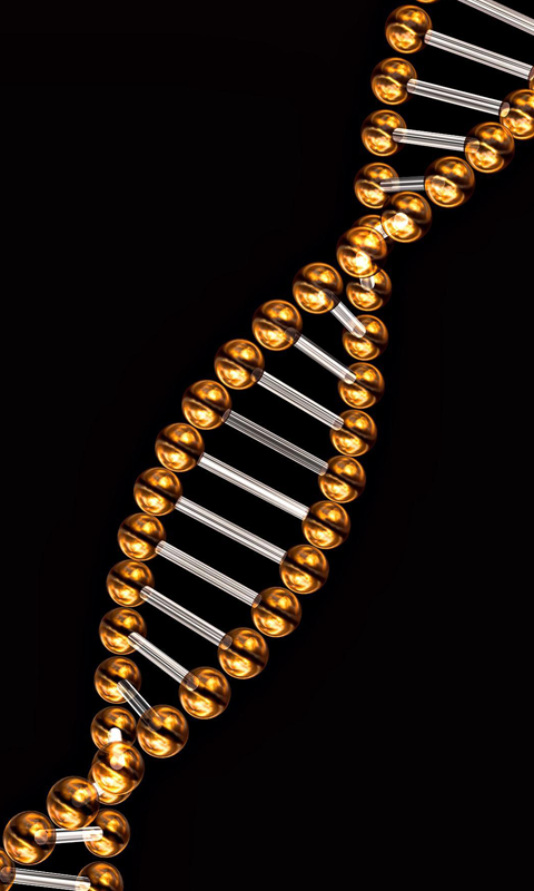 DNA HD Wallpapers Live wallpapers HD for Android software for 480x800