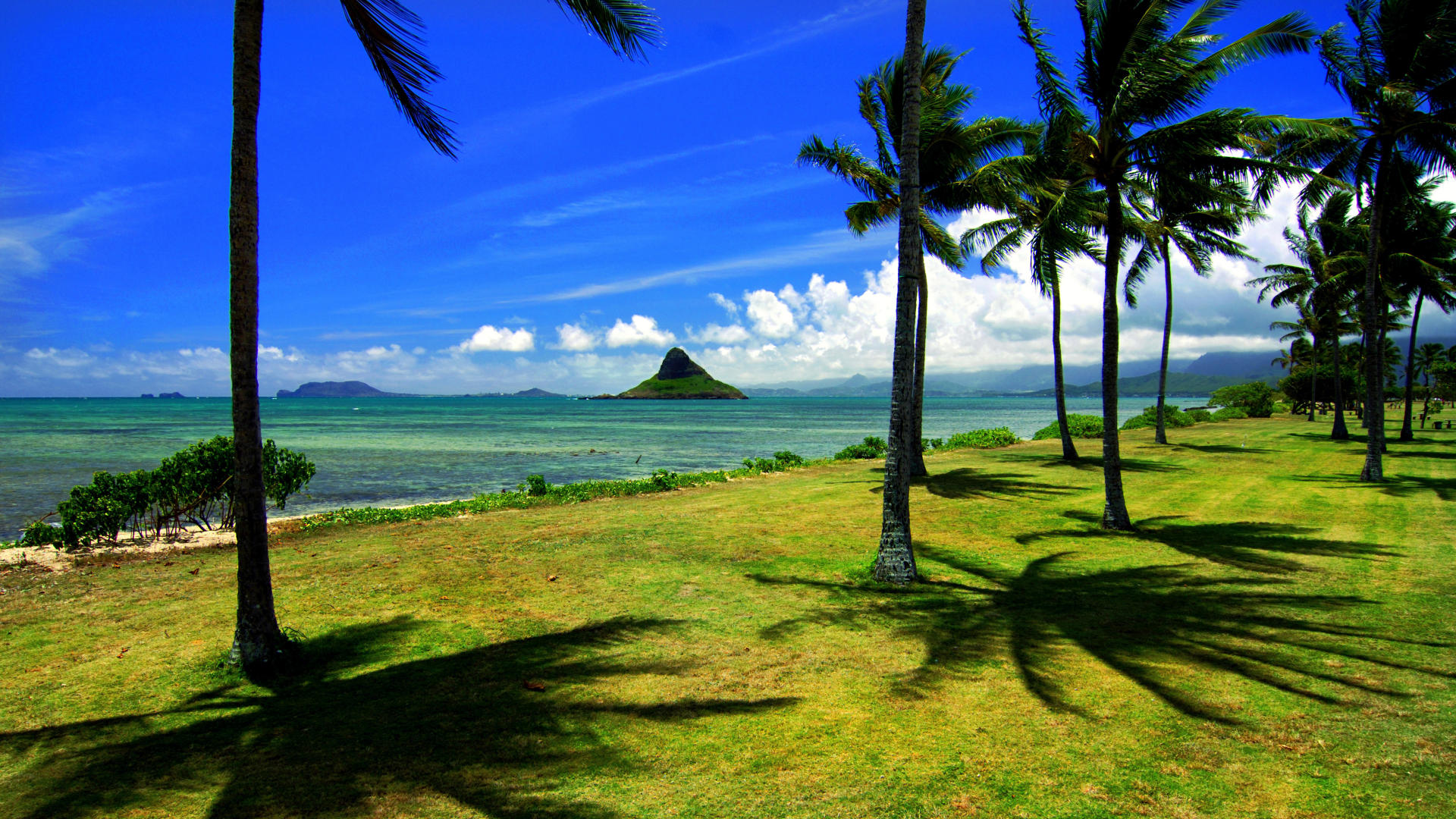 Background Wallpaper Backrounds Chinaman Desktop Beach Hawaii