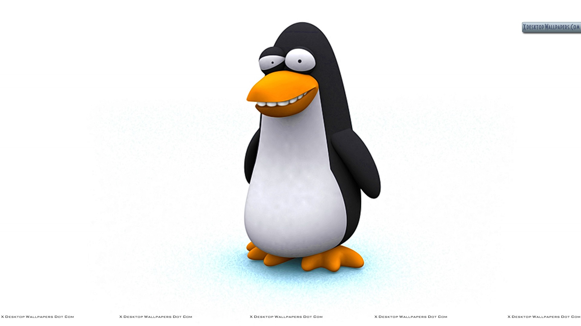 Penguin Funny Background Wallpaper HD
