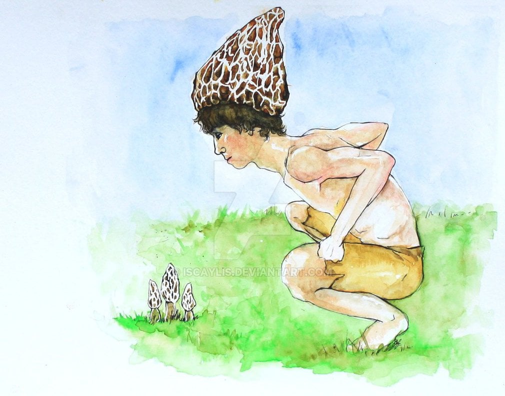 Morel Mushroom Man by iscaylis 1010x791