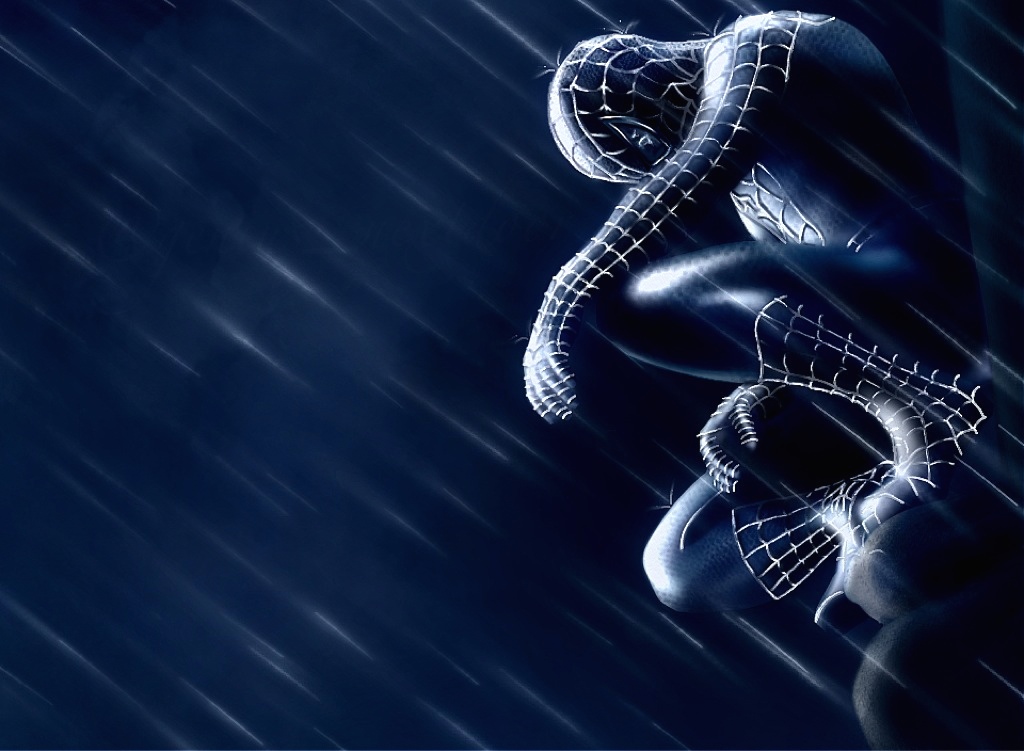 Spiderman Black Suit Wallpaper By