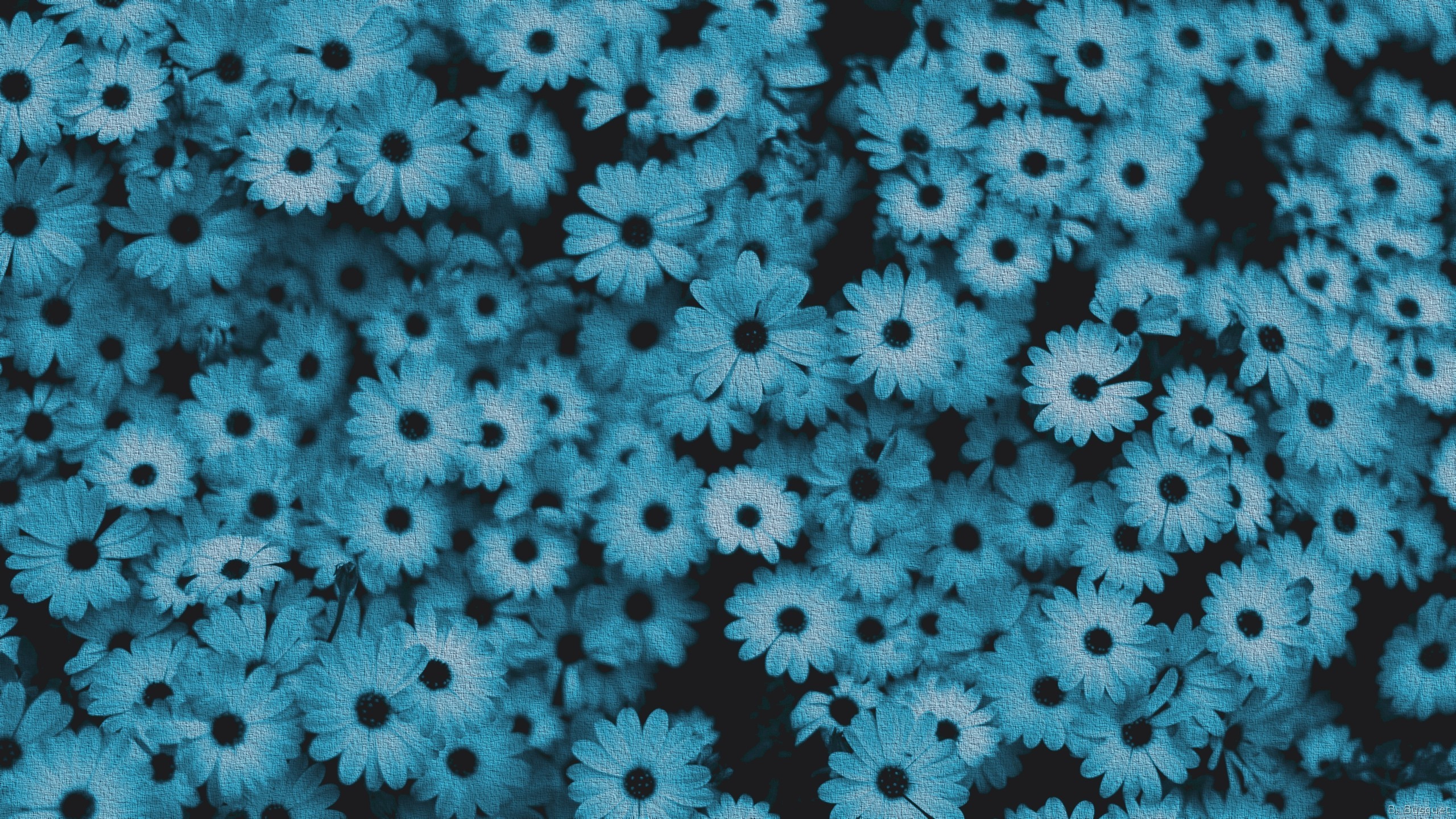 Blue Flower Wallpaper
