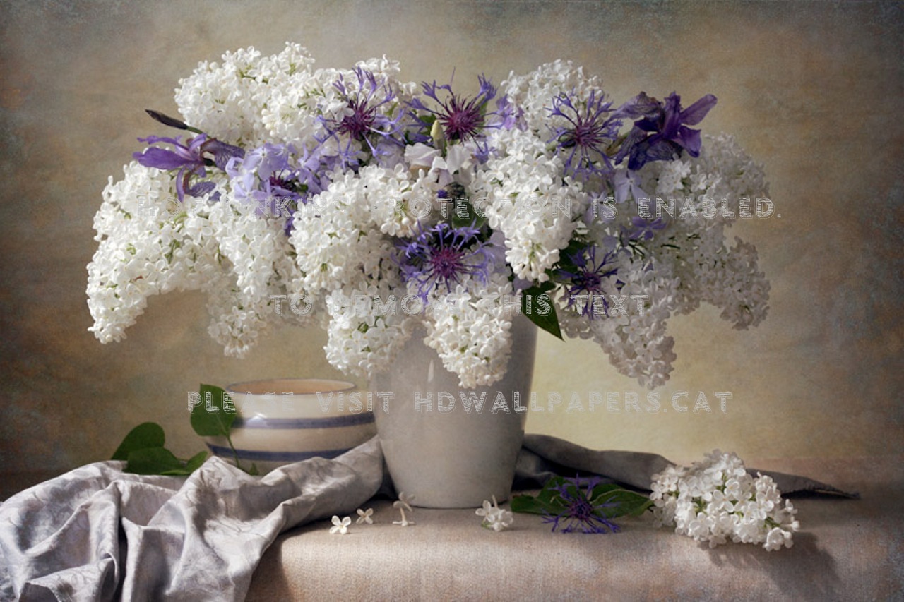 Sweet Lilacs Vase Aromatic Beautiful Still