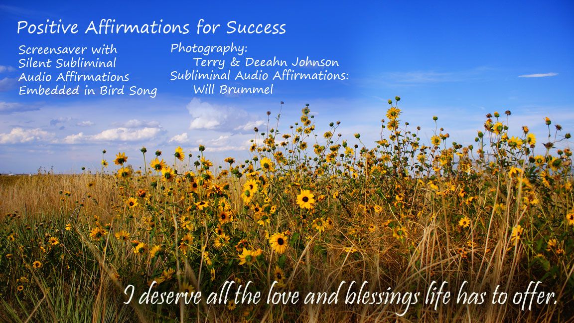 For Success Products Positive Affirmations Screensaver