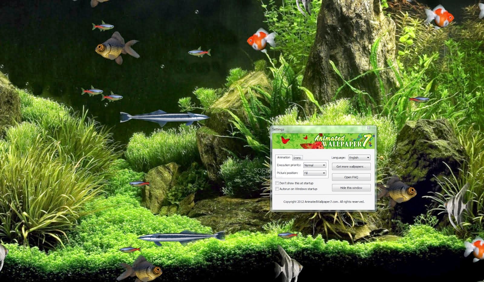 Download image Fish Aquarium Desktop Animated Wallpapers PC Android