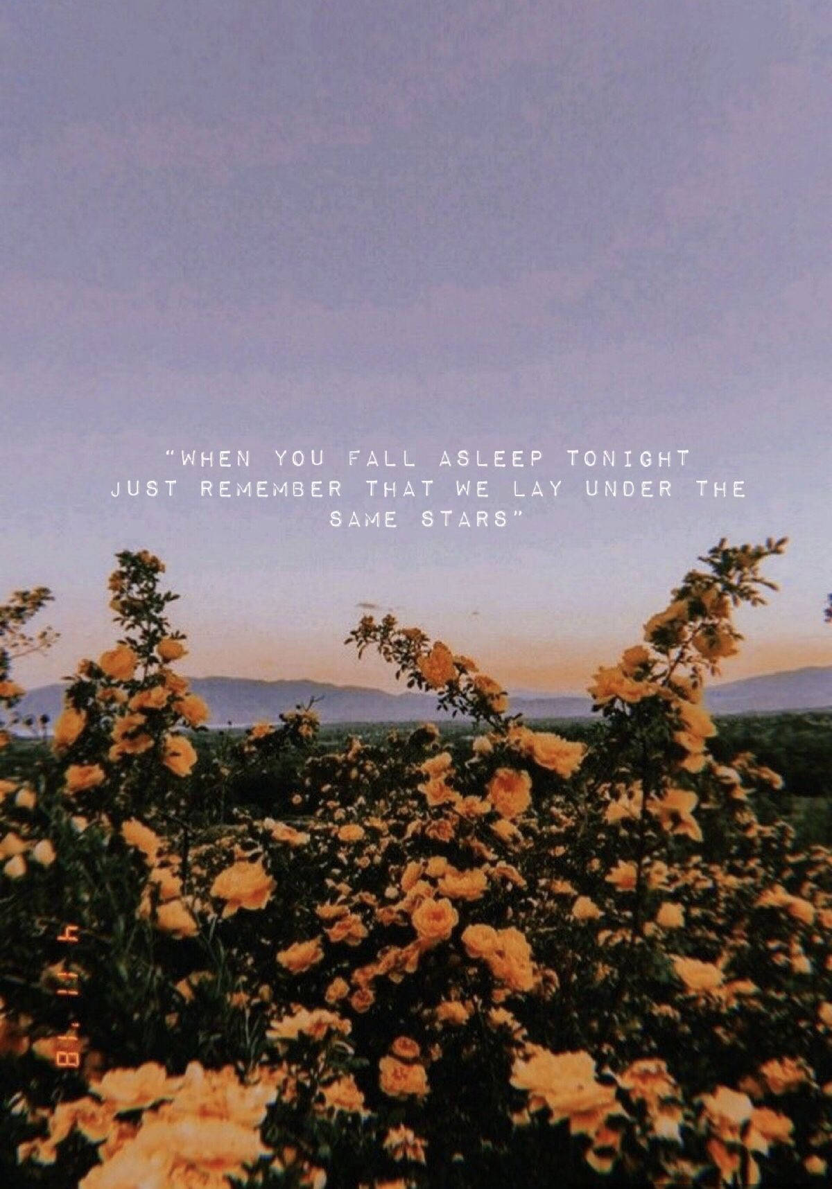 Aesthetic Wallpaper