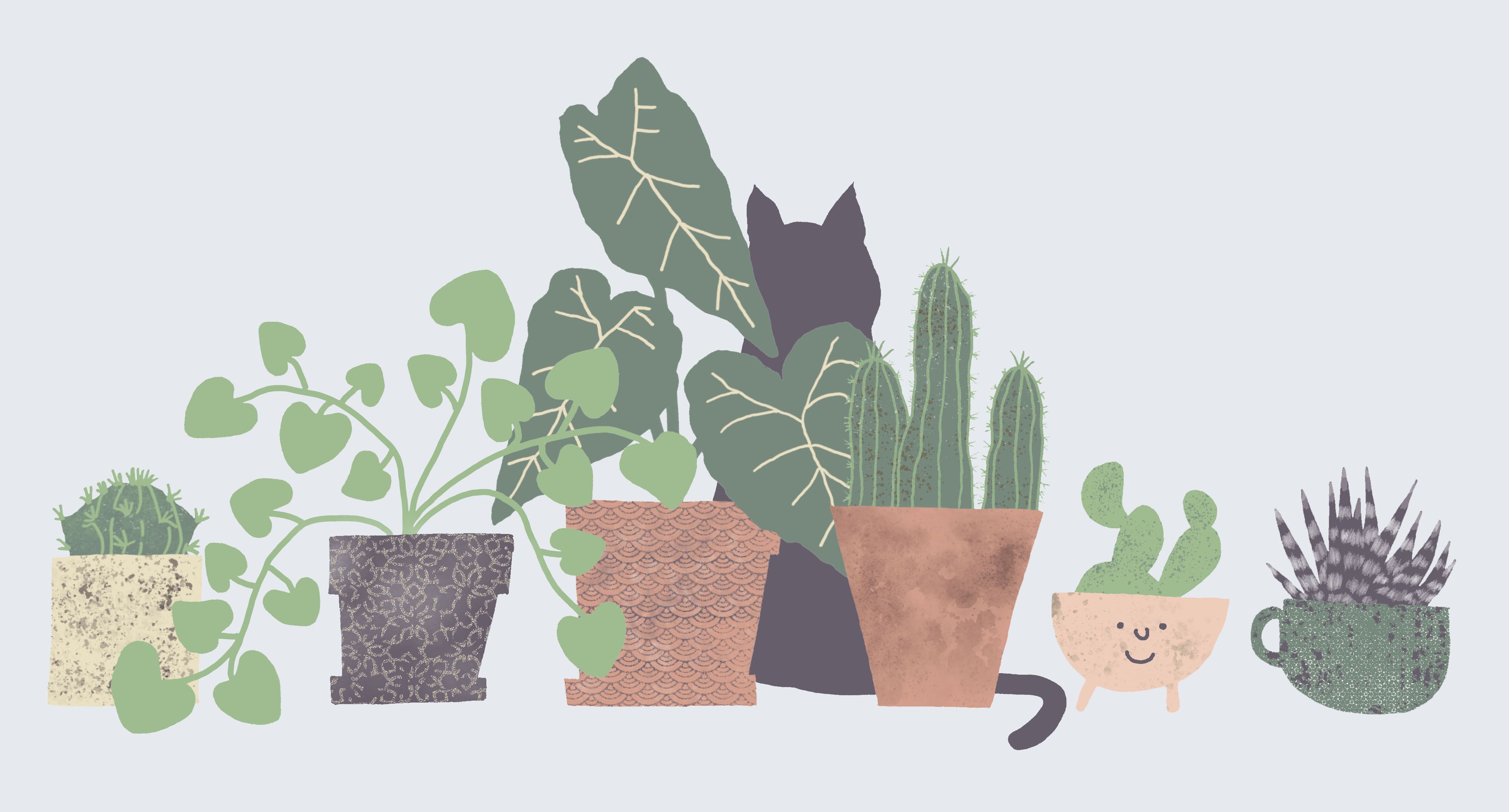 Green Plant Aesthetic Wallpaper Laptop